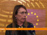 Energia, Beghin “Sui prezzi ci aspettavamo di più da Commissione Ue”