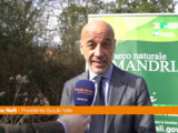 Suzuki Italia pianta 72 alberi al Parco La Mandria di Torino