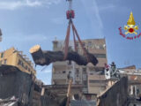 Rimosso albero caduto al Mercato delle pulci di Palermo