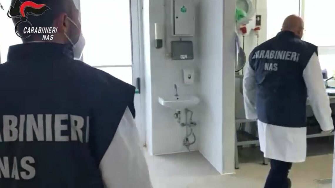 Escrementi e blatte nelle mense ospedaliere, i Nas chiudono 7 cucine Escrementi e blatte nelle mense ospedaliere, i Nas chiudono 7 cucine
