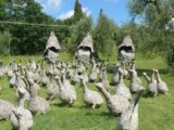 Alla scoperta dei giardini più originali della Maremma Toscana