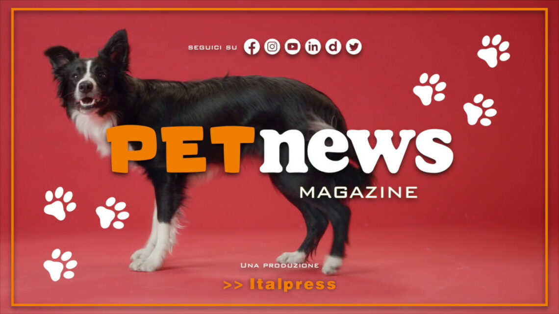 PetNews Magazine – 18/4/2023 PetNews Magazine – 18/4/2023
