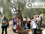 Turismo enogastronomico: grandi opportunità dal nuovo Regolamento UE delle Indicazioni Geografiche