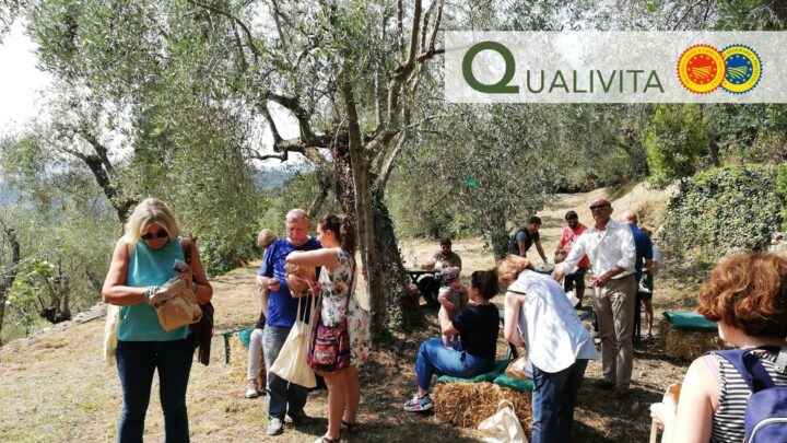 Turismo enogastronomico: grandi opportunità dal nuovo Regolamento UE delle Indicazioni Geografiche