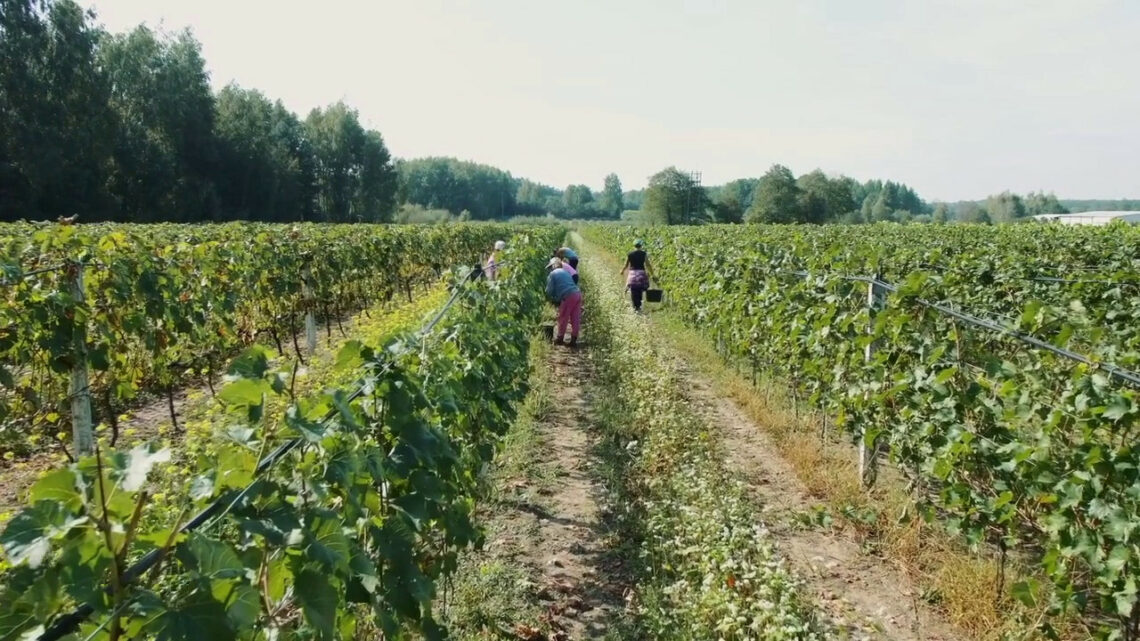 L’agriturismo vale 12,5 miliardi L’agriturismo vale 12,5 miliardi