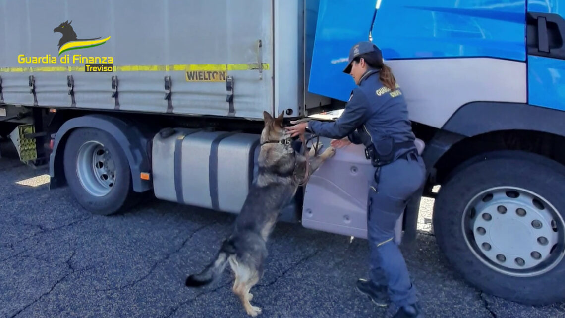 Treviso, nascondeva su un Tir 280mila euro in contanti. Denunciato Treviso, nascondeva su un Tir 280mila euro in contanti. Denunciato