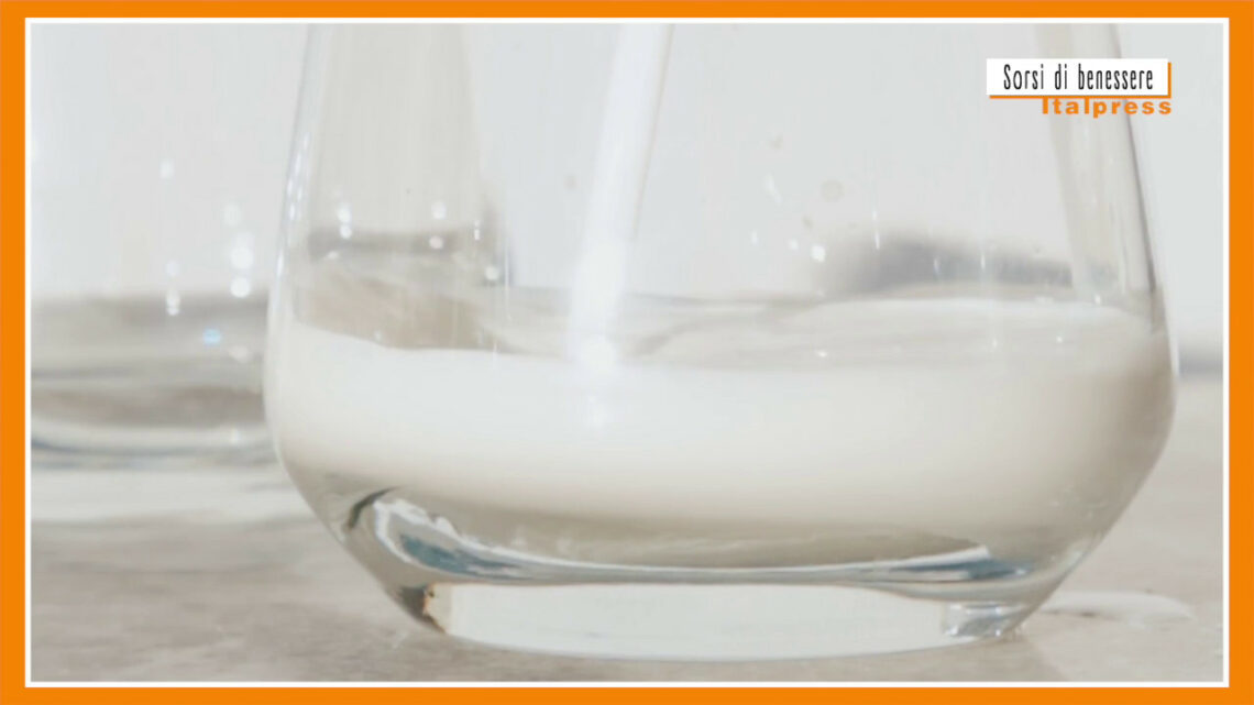 Sorsi di benessere – Ecco una colazione gustosa, sane e proteica Sorsi di benessere – Ecco una colazione gustosa, sane e proteica
