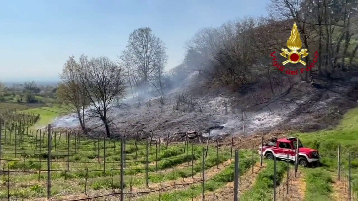 San Colombano al Lambro, incendio nel sottobosco. Lambite abitazioni San Colombano al Lambro, incendio nel sottobosco. Lambite abitazioni