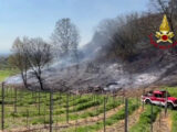 San Colombano al Lambro, incendio nel sottobosco. Lambite abitazioni
