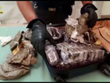 Matera, sequestrati 20 kg di droga e scoperta raffineria per il taglio