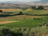Orcia Wine Festival: al via la 12° edizione