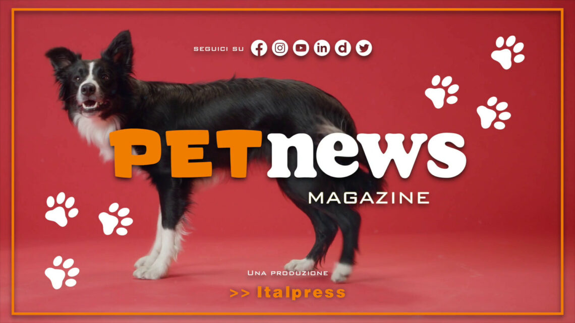 PetNews Magazine – 23/5/2023 PetNews Magazine – 23/5/2023