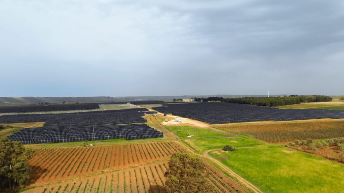 Engie inaugura in Sicilia il più grande parco agrivoltaico d’Italia Engie inaugura in Sicilia il più grande parco agrivoltaico d’Italia