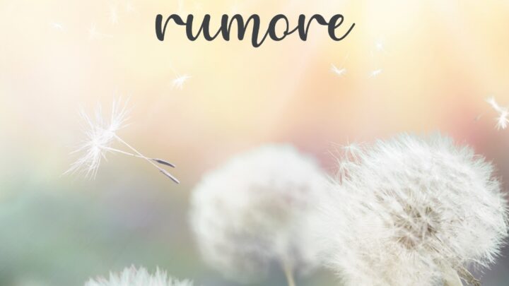 Senza far rumore: l’ultimo romanzo di Feliciana Zuccaro