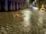 Maltempo, strade invase dall’acqua a Faenza