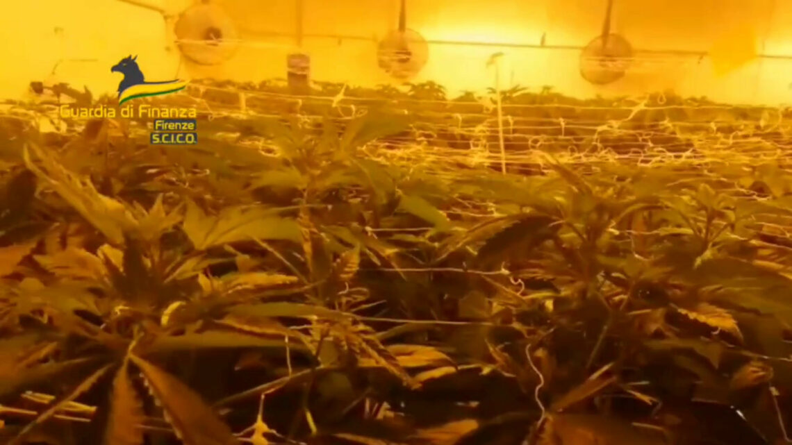 Sequestrati a Firenze quasi 700 kg di droga, dieci gli arrestati Sequestrati a Firenze quasi 700 kg di droga, dieci gli arrestati