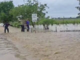 I salvataggi della polizia per l’alluvione in Emilia Romagna