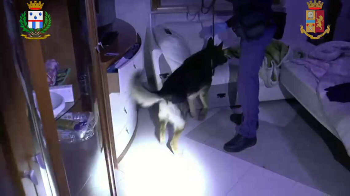 Droga e cellulari nel carcere di Salerno, 56 indagati Droga e cellulari nel carcere di Salerno, 56 indagati