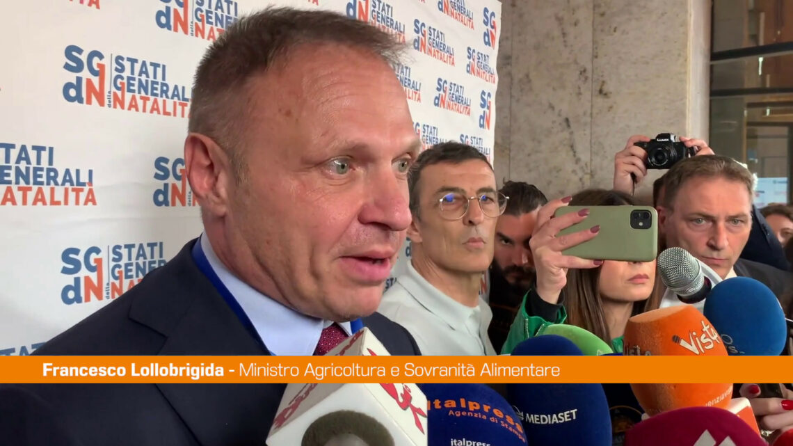 Natalità, Lollobrigida “Esiste un’etnia italiana da tutelare” Natalità, Lollobrigida “Esiste un’etnia italiana da tutelare”