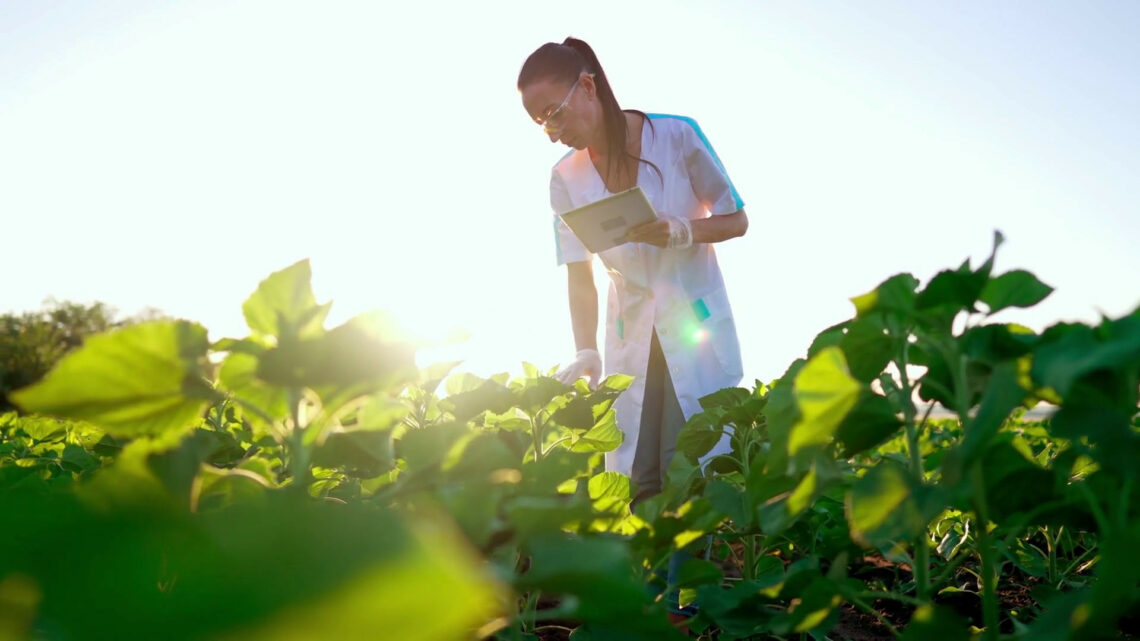 Nell’agroalimentare perse 21 mila imprese in 3 anni Nell’agroalimentare perse 21 mila imprese in 3 anni