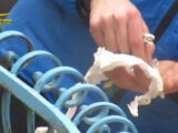 Spaccio di droga, smantellata baby gang nel Nisseno