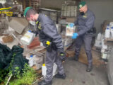 Sequestrate nel Napoletano 30 tonnellate di prodotti fitosanitari