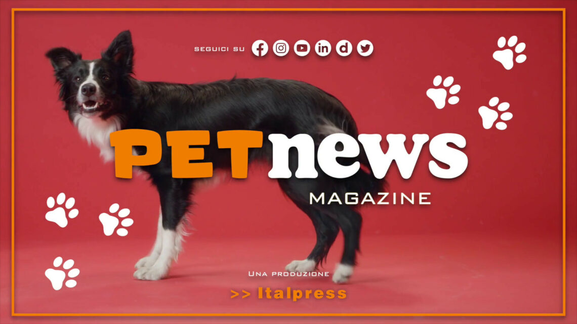 PetNews Magazine – 9/5/2023 PetNews Magazine – 9/5/2023