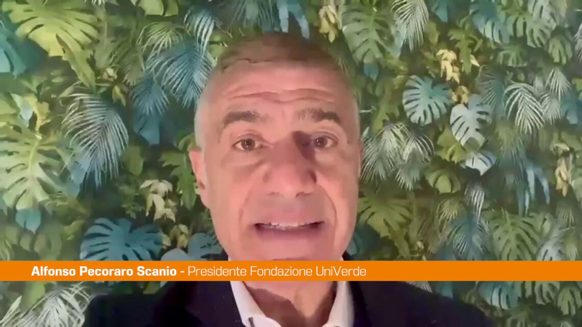 Pecoraro Scanio “Cucina italiana Unesco è sfida a lobby del cibo fake” Pecoraro Scanio “Cucina italiana Unesco è sfida a lobby del cibo fake”