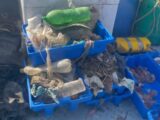 Più plastica che pesci, Marevivo “Non dobbiamo aspettare il 2050”