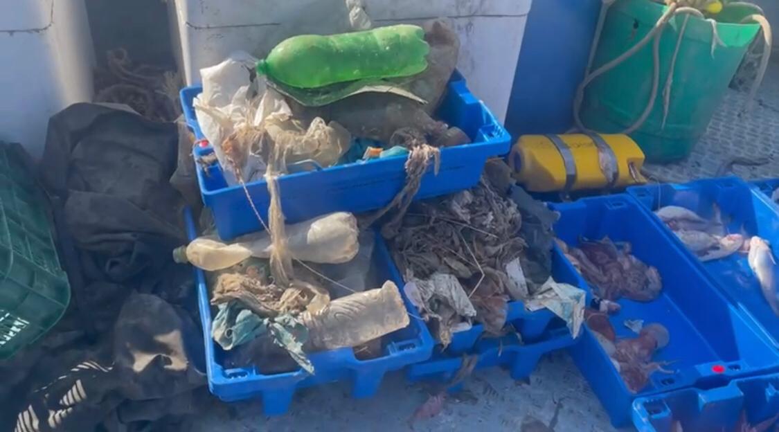 Più plastica che pesci, Marevivo “Non dobbiamo aspettare il 2050” Più plastica che pesci, Marevivo “Non dobbiamo aspettare il 2050”