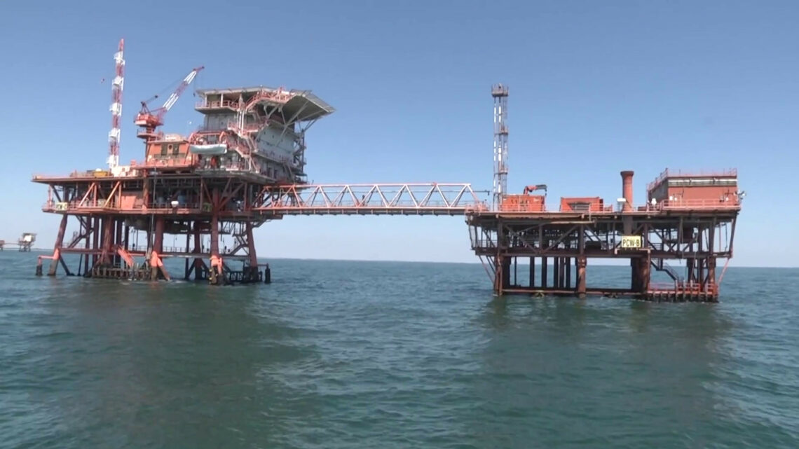 Nel Ravennate le piattaforme Eni habitat ideale per la cozza selvaggia Nel Ravennate le piattaforme Eni habitat ideale per la cozza selvaggia