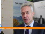 Calabria, Gallo “Efficace azione di promozione nel mondo”