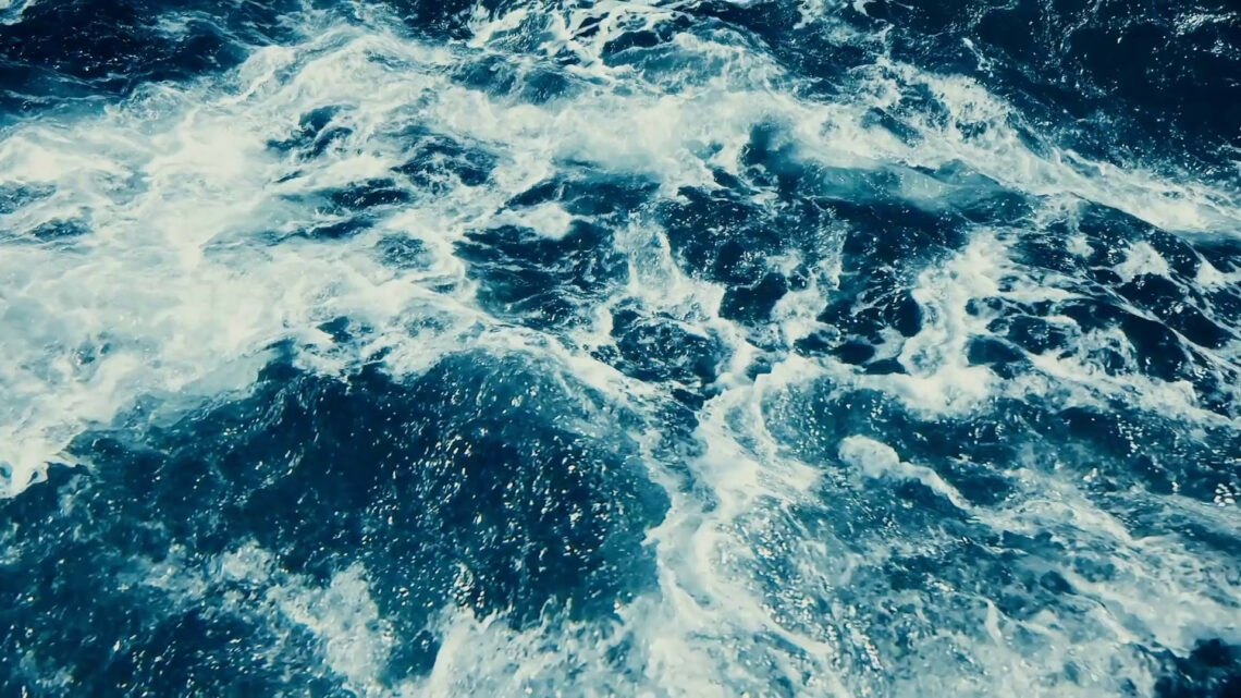 In mare aperto Tracce del virus Sars-Cov2 In mare aperto Tracce del virus Sars-Cov2