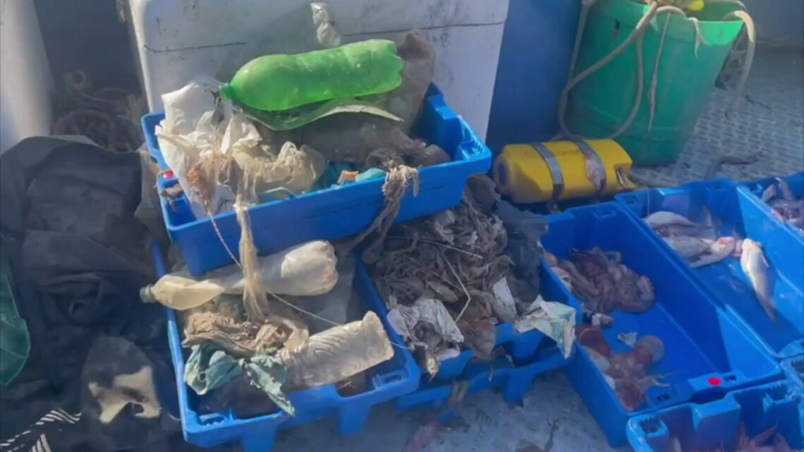 Più plastica che pesci, Marevivo lancia l’allarme Più plastica che pesci, Marevivo lancia l’allarme