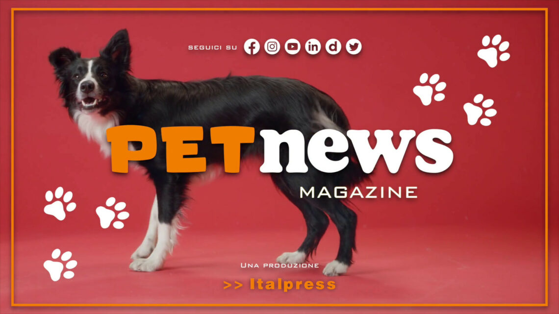 PetNews Magazine – 20/6/2023 PetNews Magazine – 20/6/2023