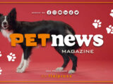 PetNews Magazine – 20/6/2023