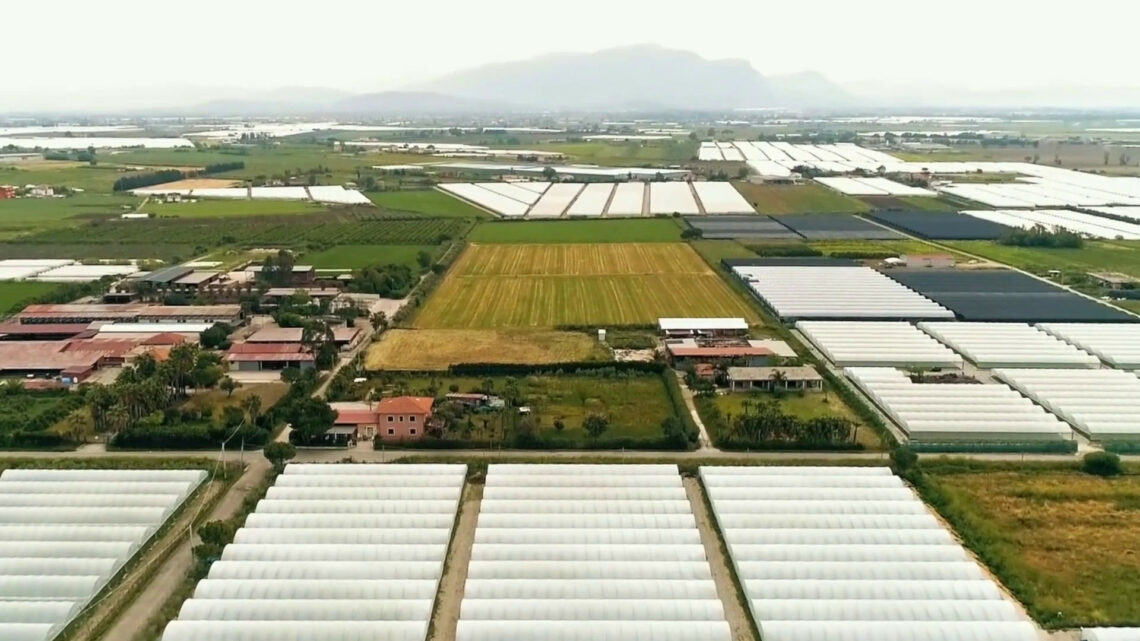 Agroalimentare, la formazione continua è decisiva per l’innovazione Agroalimentare, la formazione continua è decisiva per l’innovazione