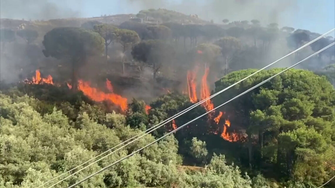 Incendi nel palermitano, le immagini dle rogo a Monreale Incendi nel palermitano, le immagini dle rogo a Monreale