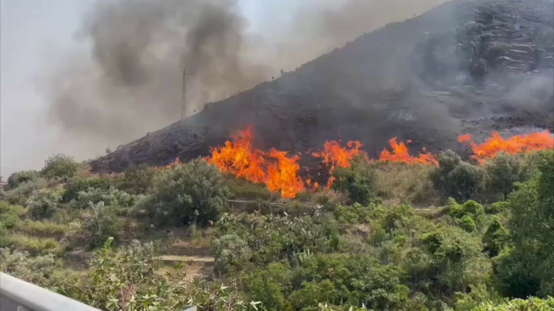 Incendio alle porte di Palermo, in fumo ettari di macchia mediterranea Incendio alle porte di Palermo, in fumo ettari di macchia mediterranea