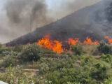 Incendio alle porte di Palermo, in fumo ettari di macchia mediterranea