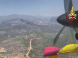 Emergenza incendi boschivi in Grecia, le immagini