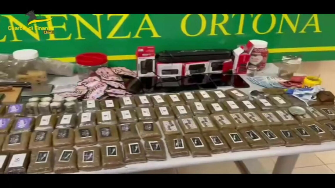 Droga e prodotti contraffatti, arrestato ventenne in Abruzzo Droga e prodotti contraffatti, arrestato ventenne in Abruzzo