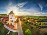 Le vie del vino in Moldavia
