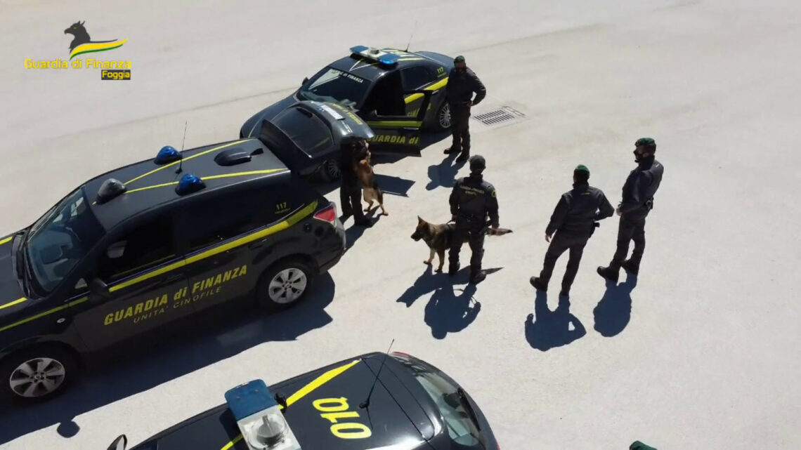 Controlli antidroga, segnalati 85 consumatori nel Foggiano Controlli antidroga, segnalati 85 consumatori nel Foggiano