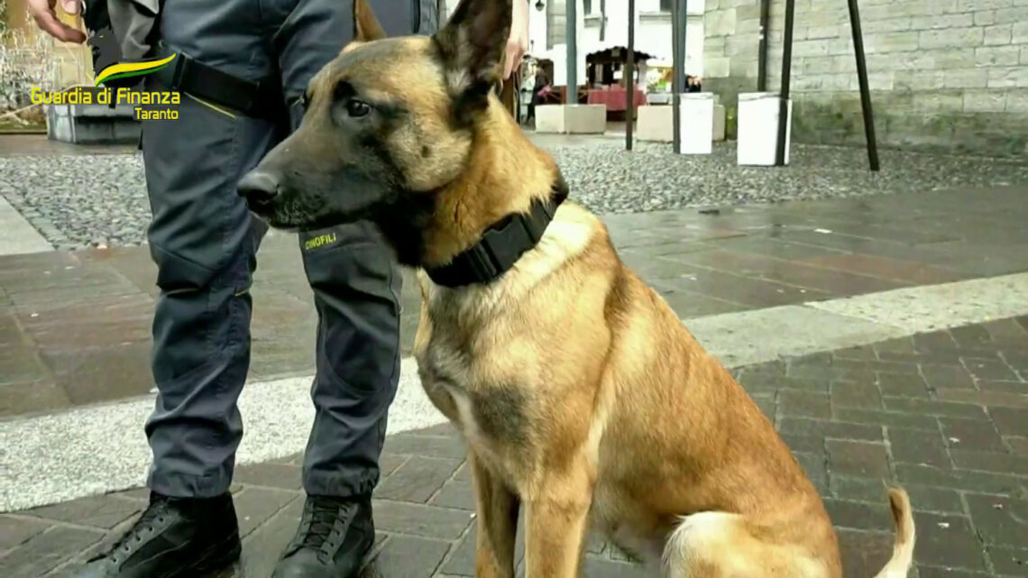 Taranto, sequestro di sostanze stupefacenti. 20 persone segnalate Taranto, sequestro di sostanze stupefacenti. 20 persone segnalate