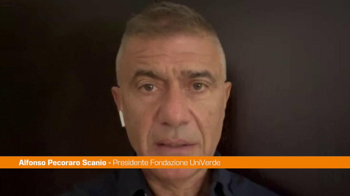 Pecoraro Scanio “4/10 enciclica Laudato Si’ sia letta nelle scuole” Pecoraro Scanio “4/10 enciclica Laudato Si’ sia letta nelle scuole”