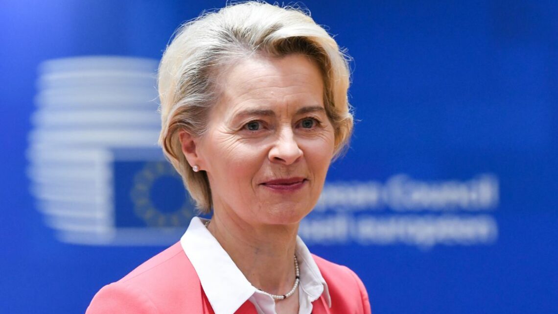 von der Leyen “Ho chiesto a Draghi relazione su futuro competitività” von der Leyen “Ho chiesto a Draghi relazione su futuro competitività”
