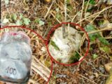 Sgominate due bande di spacciatori di cocaina nel cuneese
