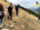 Maxi truffa all’Ue per “pascoli fantasma”, arresti e sequestri