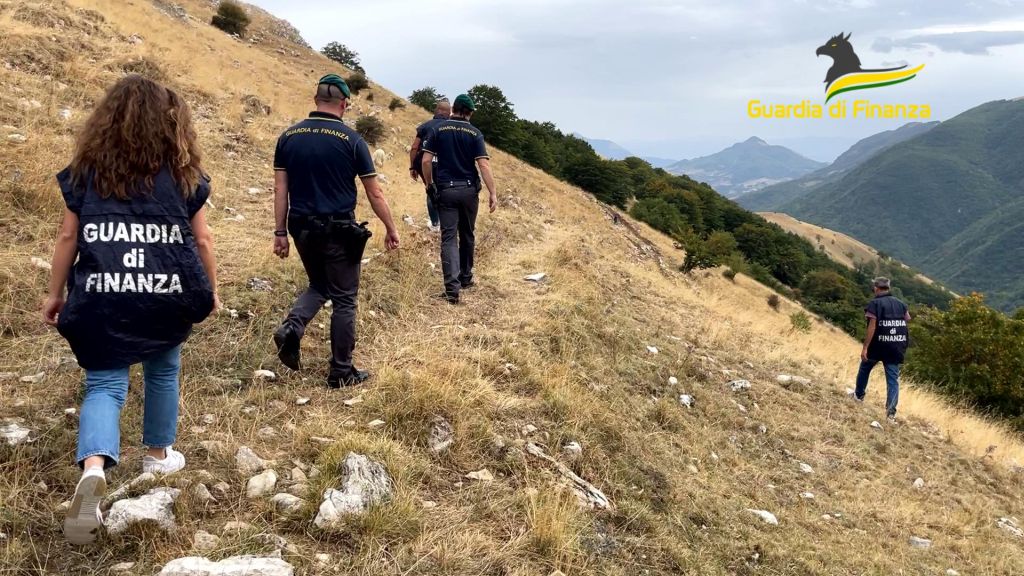Maxi truffa all’Ue per “pascoli fantasma”, arresti e sequestri Maxi truffa all’Ue per “pascoli fantasma”, arresti e sequestri